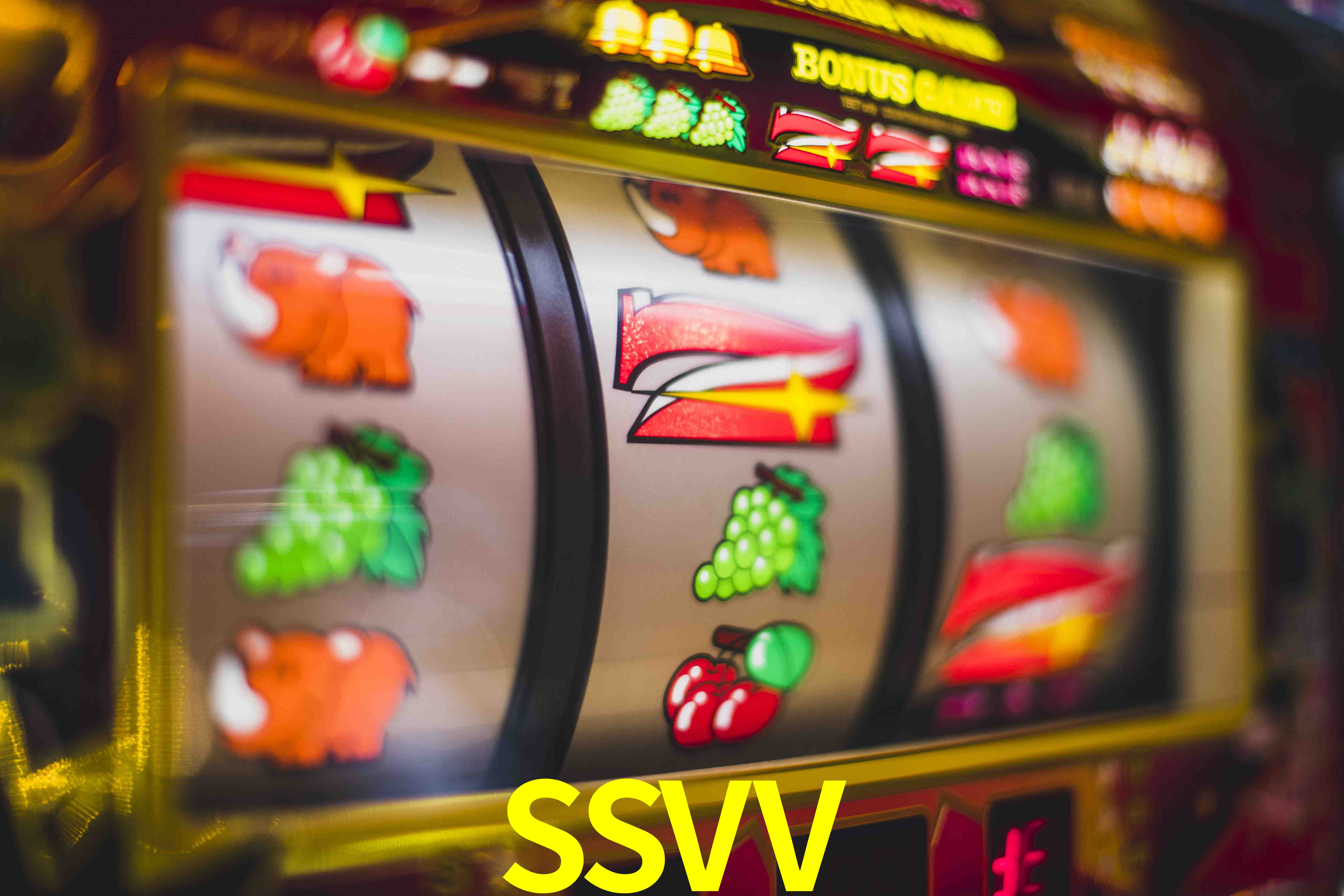 SSVV FAQ — suporte e ajuda no aplicativo oficial